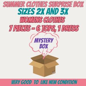 Mystery Box - Seven Pieces - Sizes 2XL and 3XL -Very Good to Excellent Condition